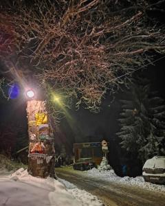 ein Straßenlicht im Schnee in der Nacht in der Unterkunft Vikendica Čeperković #3 in Kopaonik