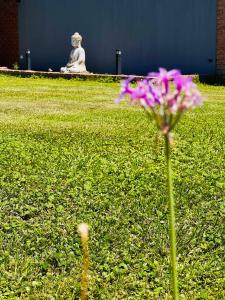 una flor púrpura en la hierba con una estatua en el fondo en Monoambiente El Pinar Parque y Pileta Privada en San Luis