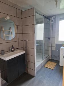La salle de bains est pourvue d'une douche, d'un lavabo et d'un miroir. dans l'établissement Au cœur du champagne logement privatif (70 m2), à Épernay