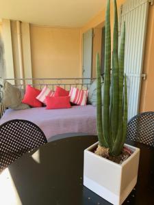 a cactus sitting on a table next to a bed at appartement cosy avec climatisation réversible GOLF DE SAUMANE in Saumane-de-Vaucluse