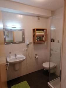 ein Badezimmer mit einem Waschbecken, einem WC und einem Spiegel in der Unterkunft Gästehaus Celine in Meuspath