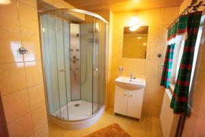 ein Bad mit einer Dusche und einem Waschbecken in der Unterkunft Apartmány Javořinka in Pec pod Sněžkou