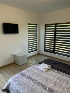 a bedroom with a bed and a flat screen tv at CAMERE de INCHIRIAT CRIS&DIA in Eforie Sud