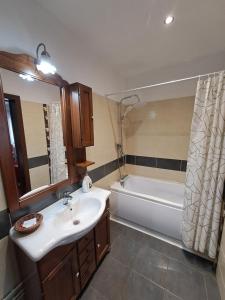 La salle de bains est pourvue d'un lavabo et d'une baignoire. dans l'établissement Alexander House, à Deva