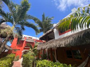 une maison avec des palmiers devant elle dans l'établissement New Nautilus Lodge, à Puerto López