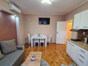 Kuchyň nebo kuchyňský kout v ubytování Apartman Drinić + 5 fotografií