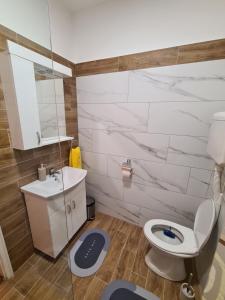 uma casa de banho com um WC, um lavatório e um espelho. em Apartman Drinić em Sombor