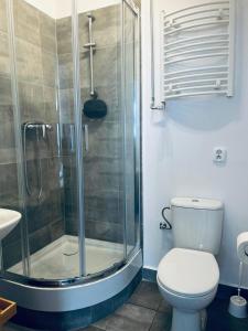 a bathroom with a shower and a toilet and a sink at Hostel Octopus Gdańsk in Gdańsk