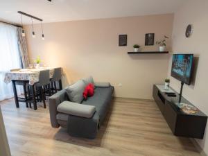salon z kanapą i telewizorem w obiekcie Pajger Apartman Egyetemváros w mieście Pecz