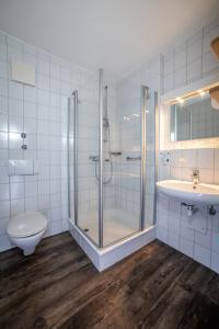 a bathroom with a shower and a toilet and a sink at Lindenhof Hetzenbach in Zell