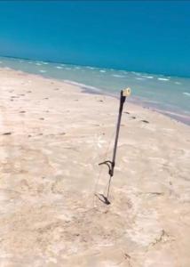 a stick in the sand on a beach at Kmi in Zarzis