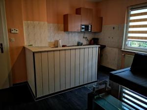 - une cuisine avec un comptoir dans une pièce dans l'établissement POLAT Apartments 4, à Essen