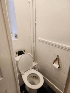 2-bedroom flat in Cutty-Sark, Greenwich ! في لندن: حمام صغير مع مرحاض في الغرفة