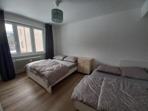 1 dormitorio con 2 camas y ventana en Zlatá Olešnice, pomezí Jizerek a Krkonoš, en Zlatá Olešnice