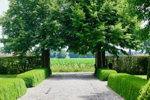 Ein Garten an der Unterkunft B&B De Hulst