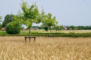 Galeriebild der Unterkunft B&B De Hulst in Izegem
