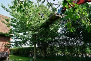 Ein Garten an der Unterkunft B&B De Hulst