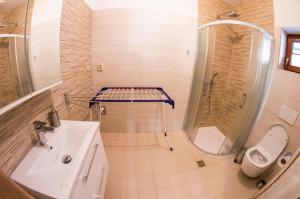 a bathroom with a shower and a sink and a toilet at Apartmán Benecko 213 in Benecko