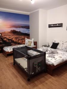 1 Schlafzimmer mit 2 Einzelbetten und einem Wandgemälde in der Unterkunft Apartmán Nad řekou in Vejprty