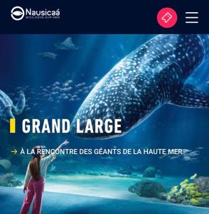 a woman is looking at a large whale in an aquarium at Au coeur de boulogne sur mer in Boulogne-sur-Mer