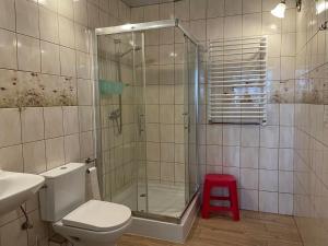 Afbeelding uit fotogalerij van Agroturystyka pod Wieżą in Chojna