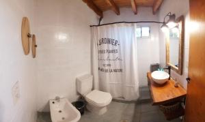 y baño con aseo y cortina de ducha. en LA JACA DORADA en San Carlos de Bariloche