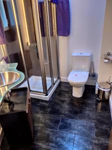 a bathroom with a shower and a toilet and a sink at Sol Mediterraneo in Archena