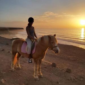 コティージョにあるAlaia Tiny House between volcanoes and beach breaksの浜辺の馬に腰掛けている女