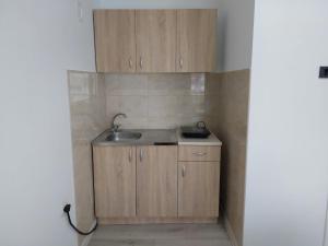 Kuchyň nebo kuchyňský kout v ubytování Apartman Aleksić u centru grada