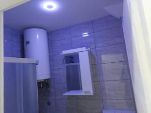 Koupelna v ubytování Apartman Aleksić u centru grada