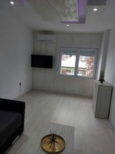 TV a/nebo společenská místnost v ubytování Apartman Aleksić u centru grada
