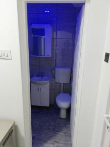 Koupelna v ubytování Apartman Aleksić u centru grada