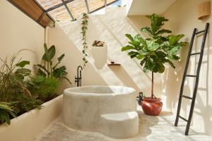 eine Badewanne in einem Zimmer mit Pflanzen in der Unterkunft DUNA by DW in San Juan