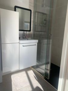 a white bathroom with a mirror and a shower at Studio avec Terrasse in Aix-en-Provence