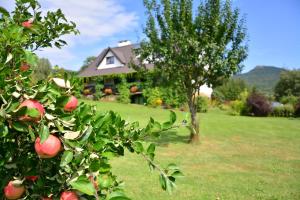 uma macieira em frente a uma casa em Werchowyna em Wetlina