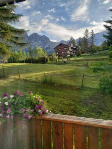 a view of a field with a fence and flowers at APPARTAMENTO CORTINA 1956 in Cortina dʼAmpezzo