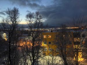 a group of trees in front of a building at 36 sqm Studio aparatment B in Tromsø