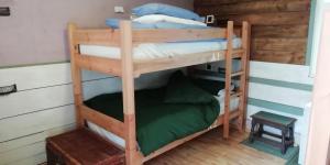 Tempat tidur susun dalam kamar di Eden's Yard Backpackers