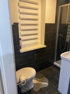 a bathroom with a white toilet and a sink at Pension Lavendel in Nordhausen +76 photos