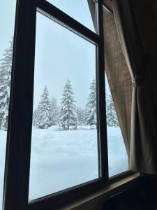 una ventana con vistas a un campo cubierto de nieve en Mountain Houses Emilija en Žabljak