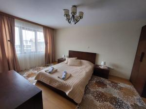 a bedroom with a bed and a large window at Apartment Pirin in Bansko