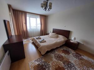een slaapkamer met een bed en een groot raam bij Apartment Pirin in Bansko