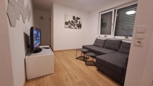 ein Wohnzimmer mit einem Sofa und einem Flachbild-TV in der Unterkunft Apartment 183 Stubaital in Fulpmes