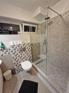 W łazience znajduje się toaleta i przeszklony prysznic. w obiekcie At the heart of Plitvice Lakes - Self check-in! w mieście Jeziora Plitwickie