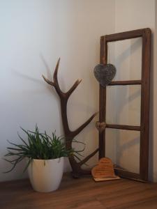 a mirror and a plant on a wooden table at Ferienwohnung Abendrot in Berwang