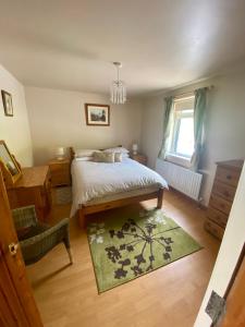 a bedroom with a bed and a green rug at Beachview Cottage Co. Antrim in Cushendun