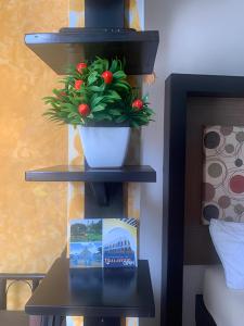 a table with a potted plant on top of it at Cuartos kukulcan in Valladolid