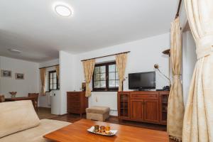 sala de estar con sofá y TV en Vila Helena - Apartmán Helena 3 en Ružomberok