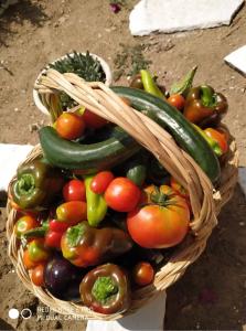 a basket filled with lots of vegetables on a table at Mimoza's Sea View Apartment in Paleo Tsifliki