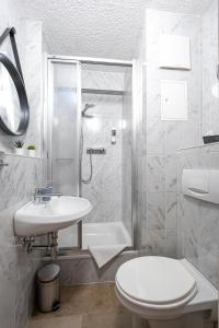 La salle de bains est pourvue d'un lavabo, de toilettes et d'une douche. dans l'établissement Pension Krone, à Freiberg
